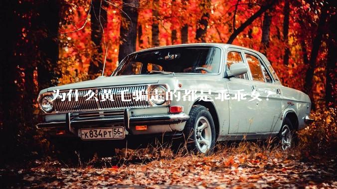 为什么黄毛骗走的都是乖乖女？