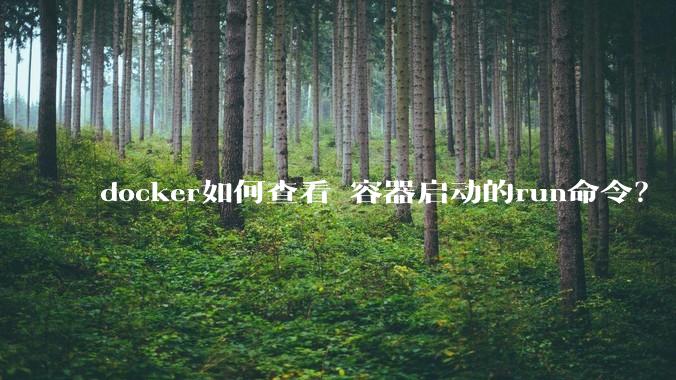 docker如何查看 容器启动的run命令？